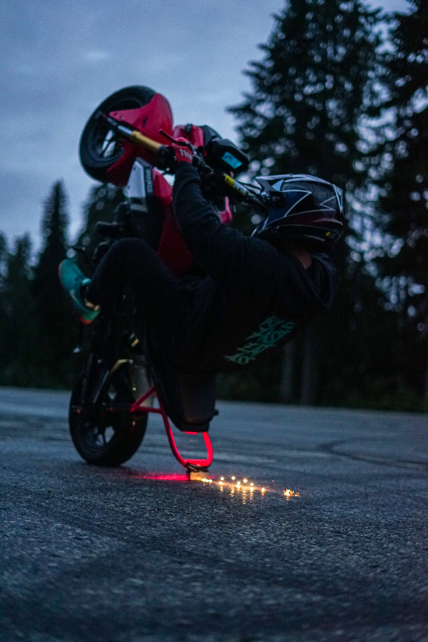 R.F.E.A. OG HOODIE V1 (new colors!)