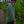 DIGGER LONGSLEEVE