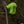 R.F.E.A. HIGH VIS POCKET T